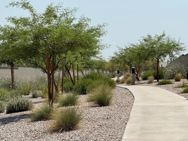 a view of a park with plants and trees