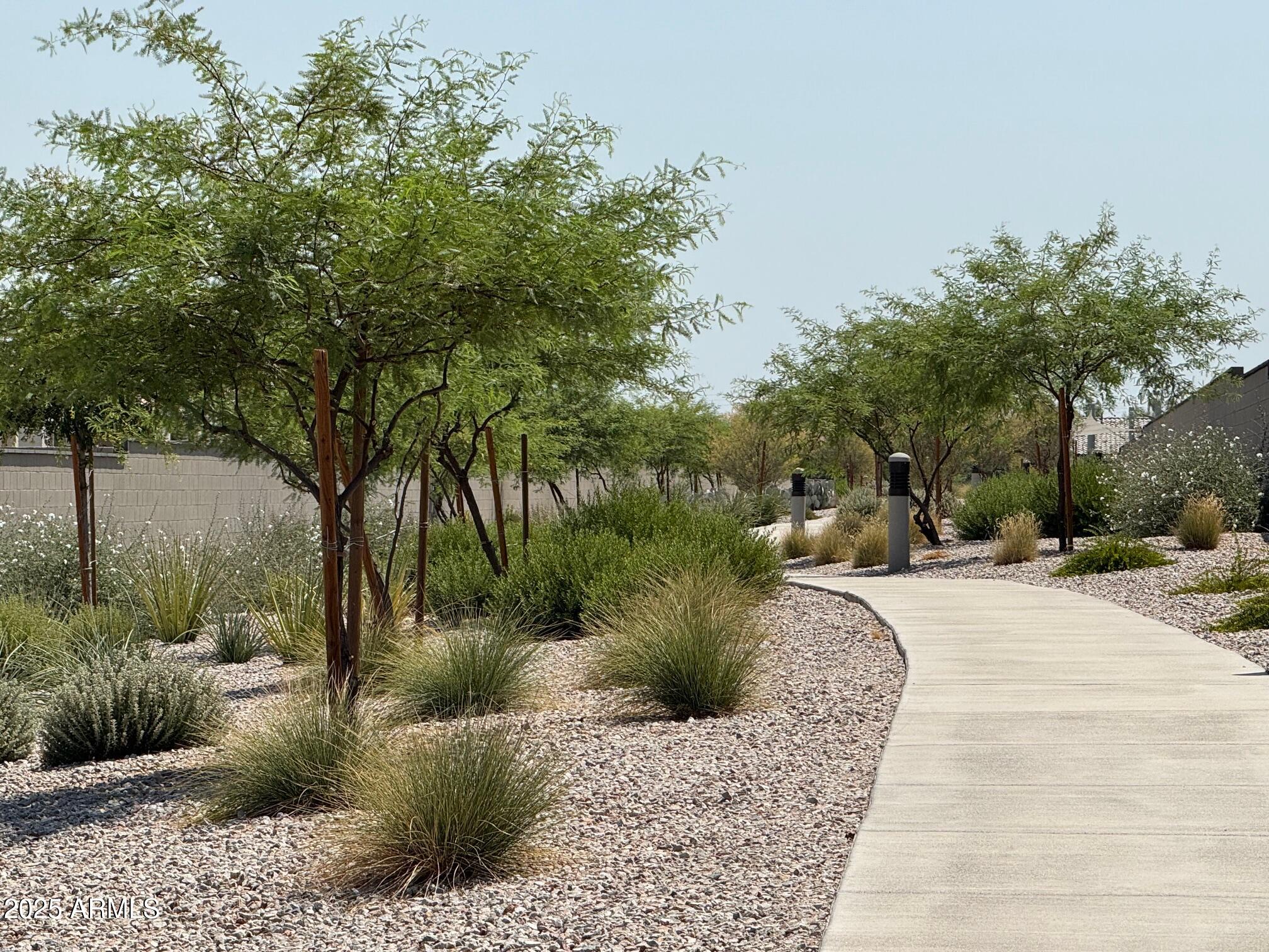 2534 West Chanute Pass Phoenix, AZ 85041 - Photo 16 of 16 Walkways