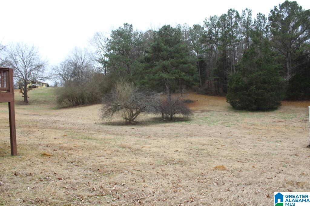 443 Turner Road Munford, AL 36268 - Photo 6 of 33
