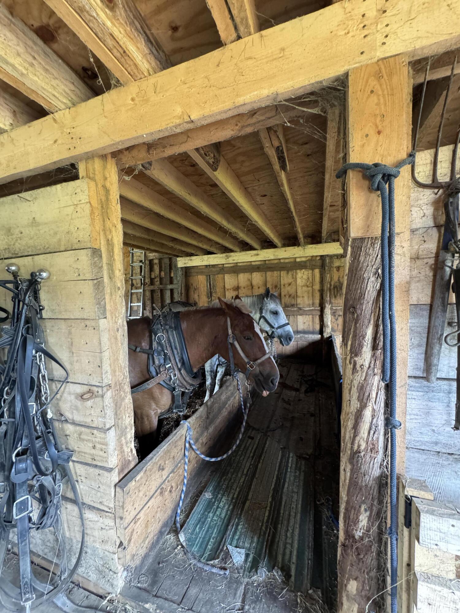 1698 Exeter Road Exeter, ME 04435 - Photo 34 of 42 Stalls