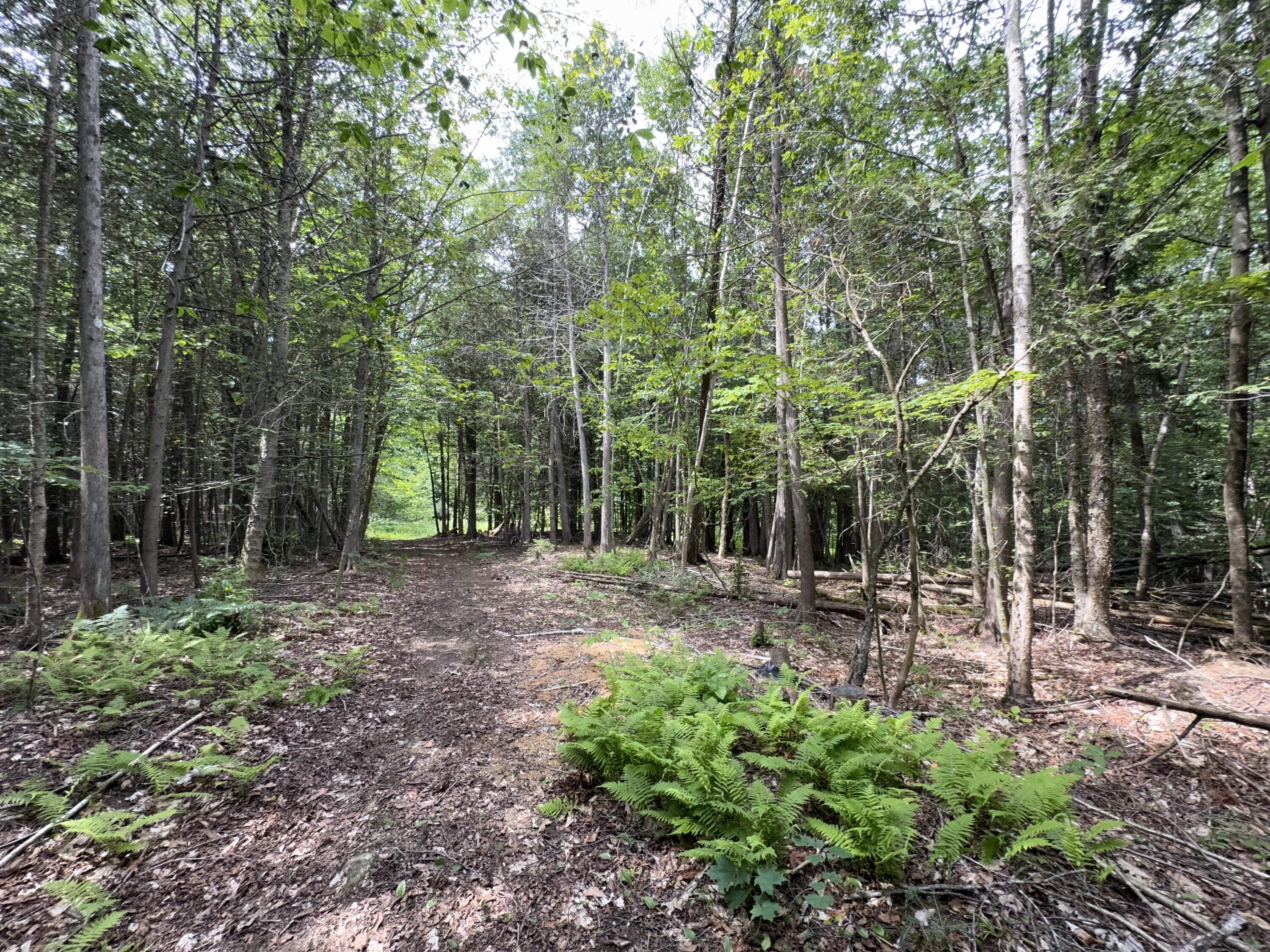 1698 Exeter Road Exeter, ME 04435 - Photo 40 of 42 Time in Nature