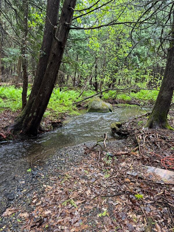 1698 Exeter Road Exeter, ME 04435 - Photo 42 of 42 Private Stream