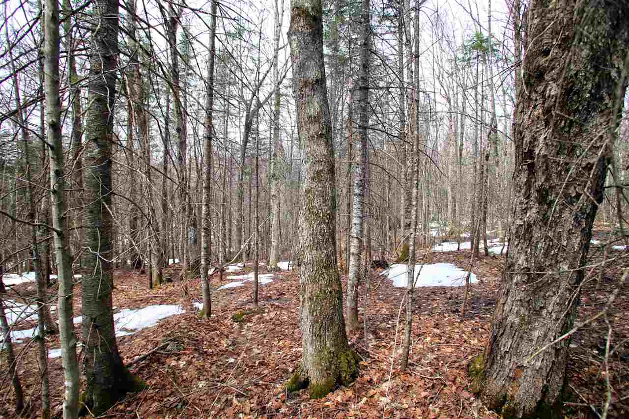 1405 Abbott Hill Road Newark, VT 05871 - Photo 22 of 40 Gallery Image 22