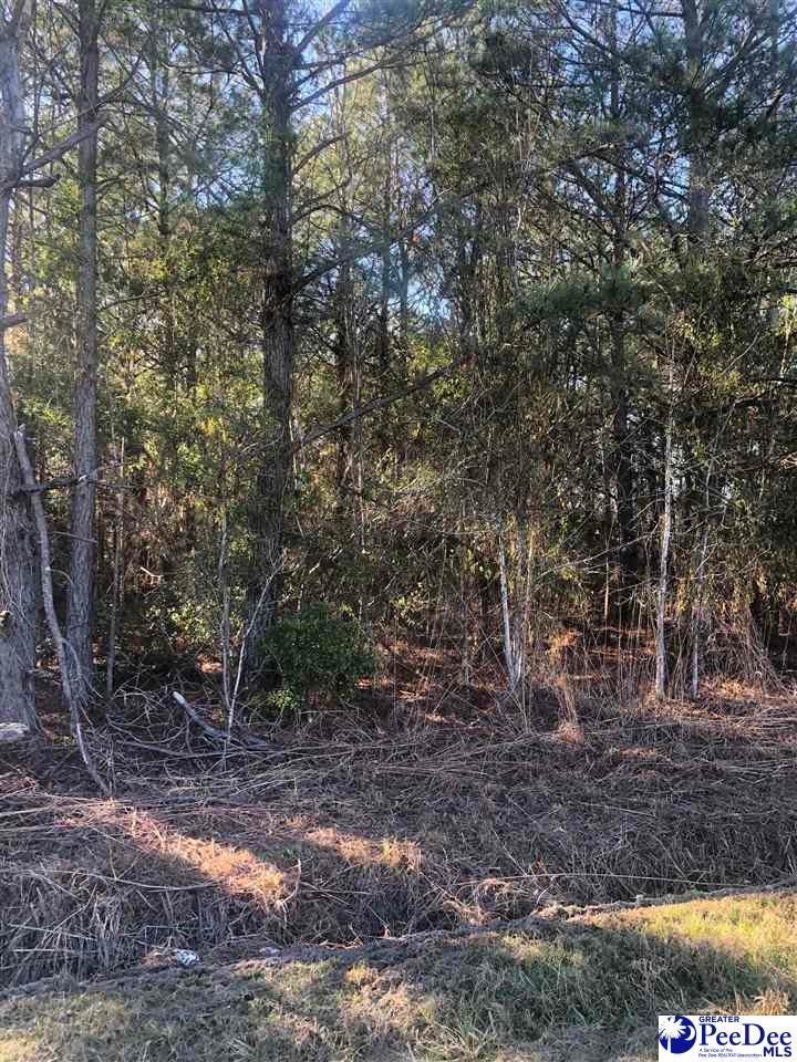 Tbd Kershaw Road Timmonsville, SC 29161 - Photo 1 of 1 Gallery Image 1