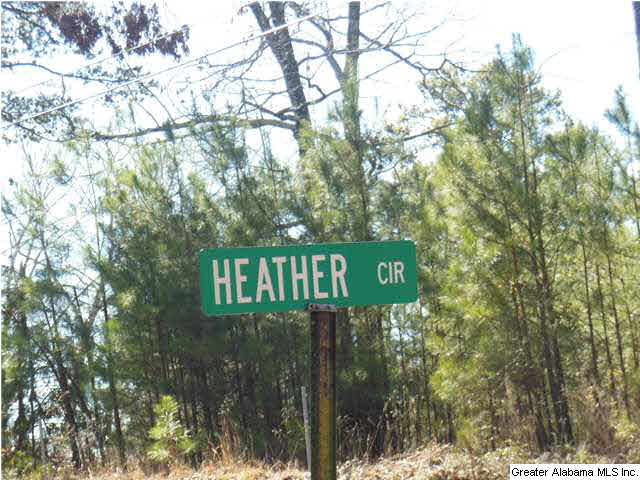 Heather Circle, Unit 1 Oneonta, AL 35121 - Photo 2 of 10