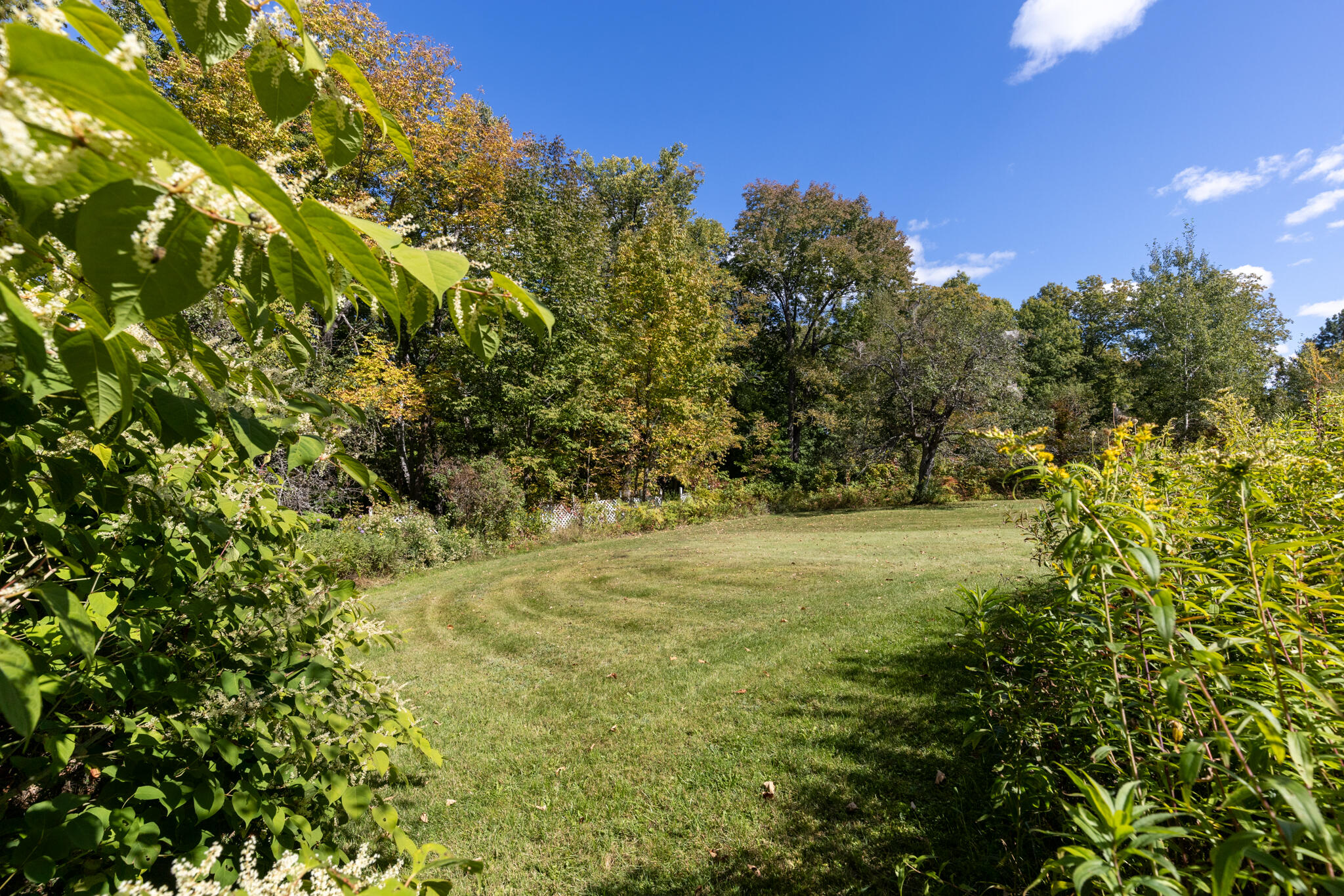 753 Sebec Village Road Sebec, ME 04481 - Photo 32 of 62 20250915-_MG_2192-HDR