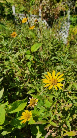 $293,500 | 753 Sebec Village Road, Sebec, ME 04481