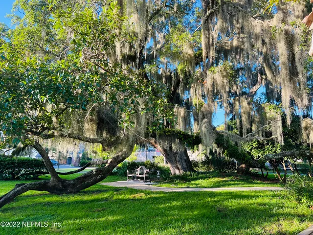 a view of a park with large trees