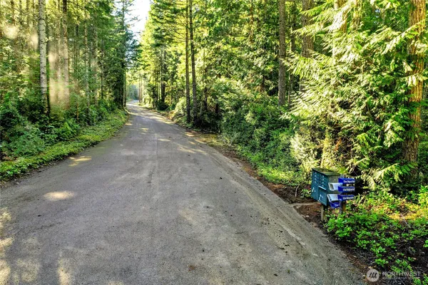 a big yard with lots of green space and plants