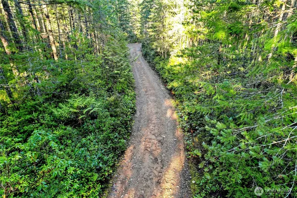 a view of a pathway both side of yard