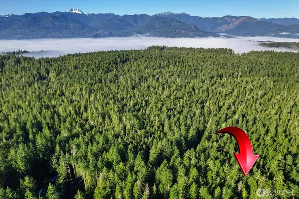 a view of a lush green hillside and a houses