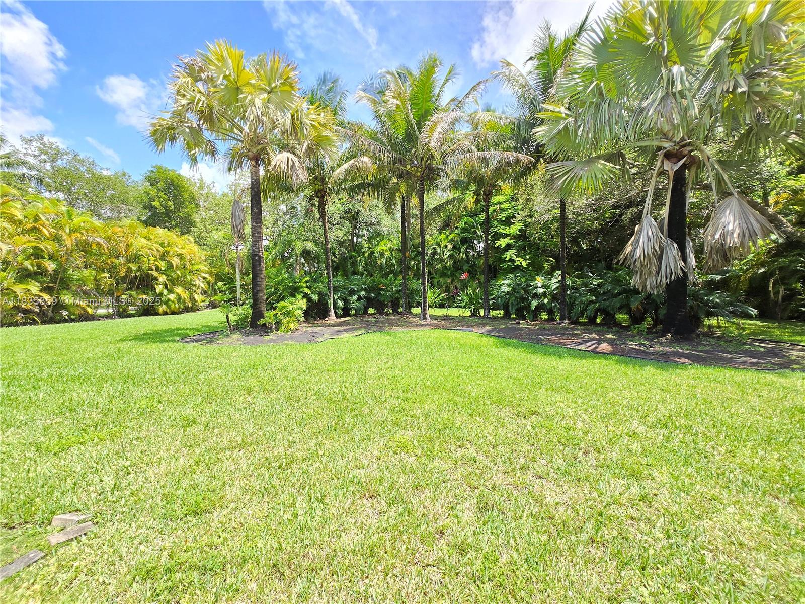 7895 Southwest 122nd Street Pinecrest, FL 33156 - Photo 63 of 78 a view of green field with a tree