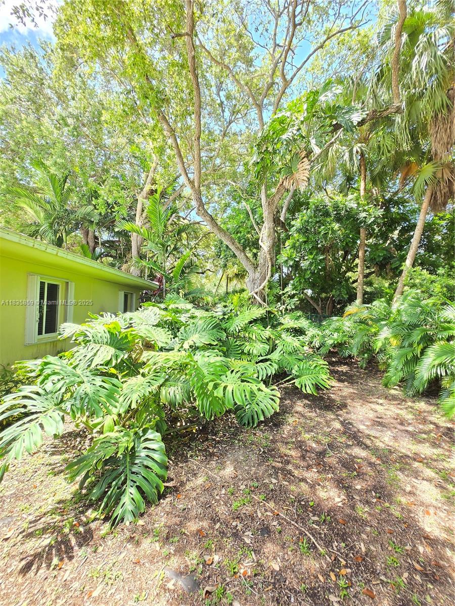 7895 Southwest 122nd Street Pinecrest, FL 33156 - Photo 69 of 78 a backyard of a house with lots of green space and garden
