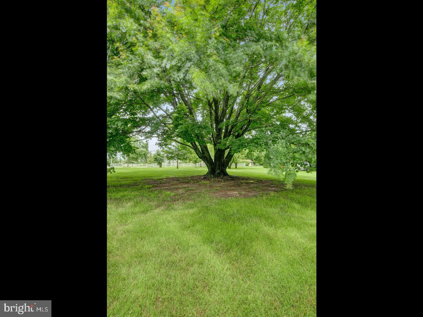 1188 Hedding Jacksonville Road Columbus, NJ 08022 - Photo 40 of 44 Gallery Image 40