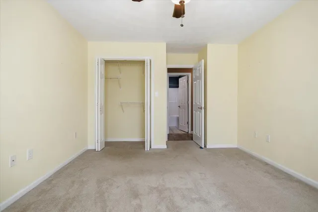 a view of a trees with yard