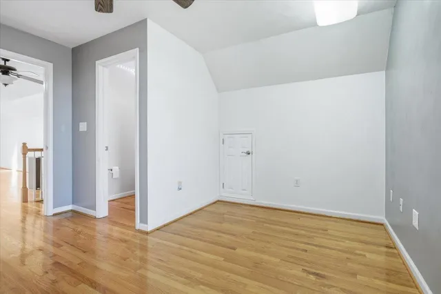 a view of a trees with a big yard