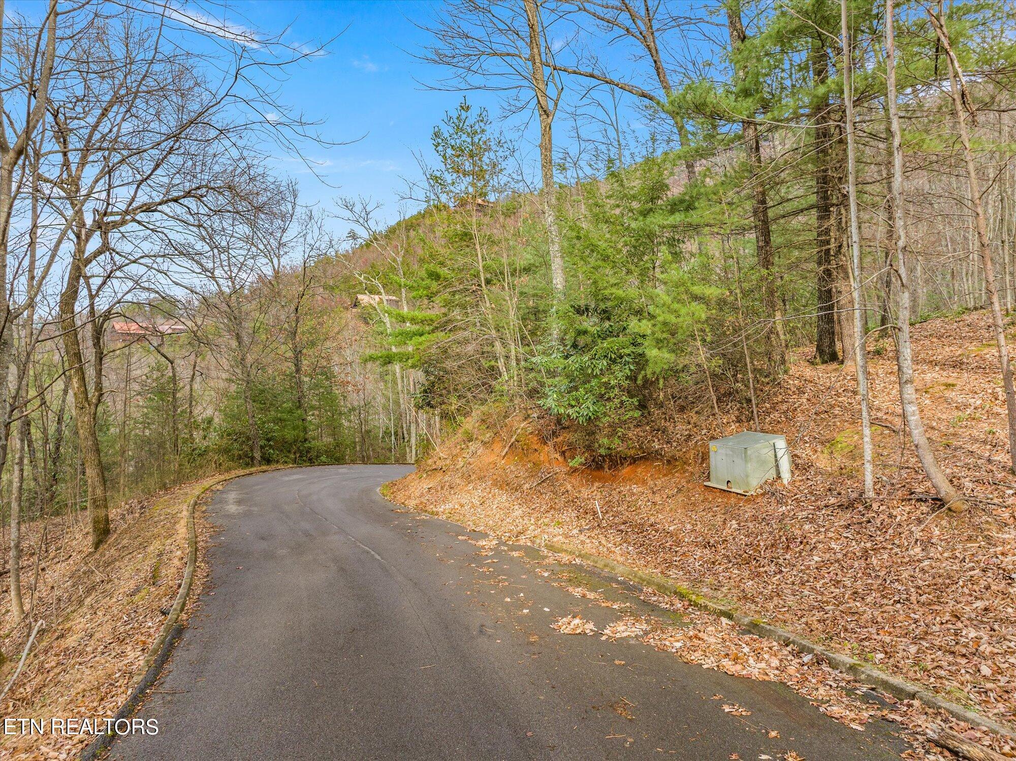 Lexy Lane Sevierville, TN 37862 - Photo 2 of 14 04-Lexy-Ln-Tennessee-4