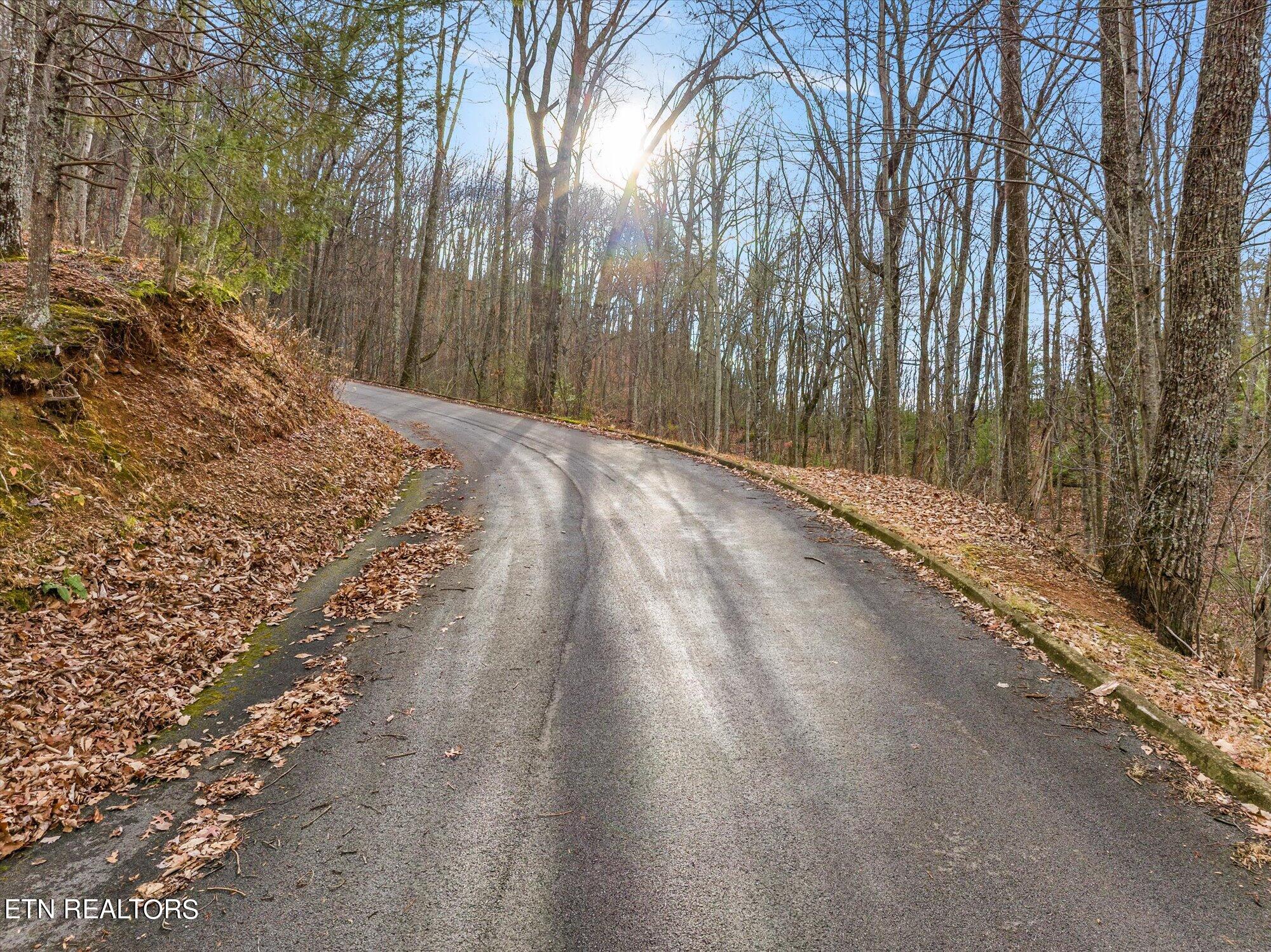 Lexy Lane Sevierville, TN 37862 - Photo 3 of 14 03-Lexy-Ln-Tennessee-3
