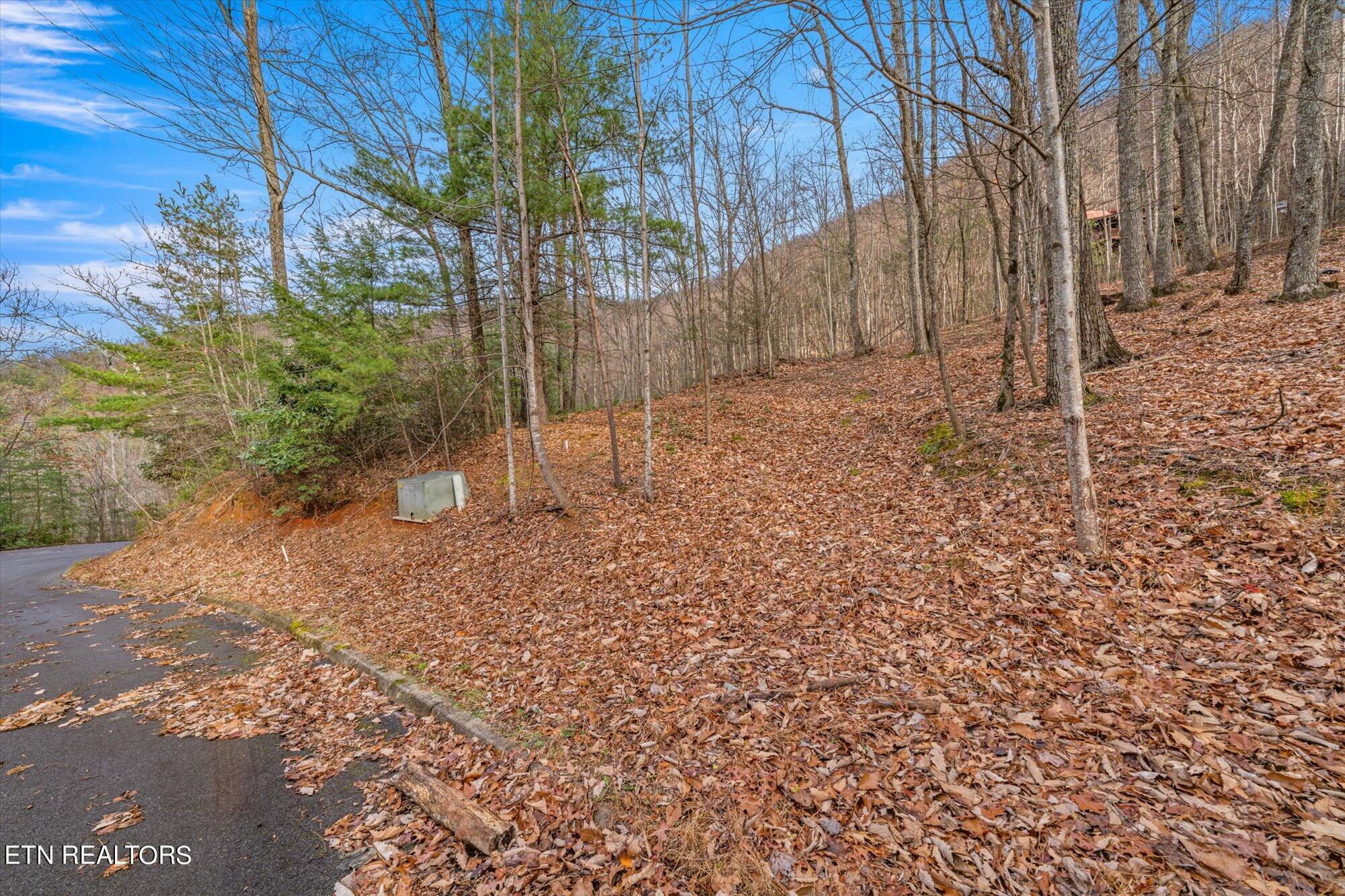 Lexy Lane Sevierville, TN 37862 - Photo 4 of 14 07-Lexy-Ln-Tennessee-7