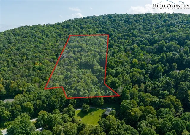 a view of a lush green forest with trees in the background
