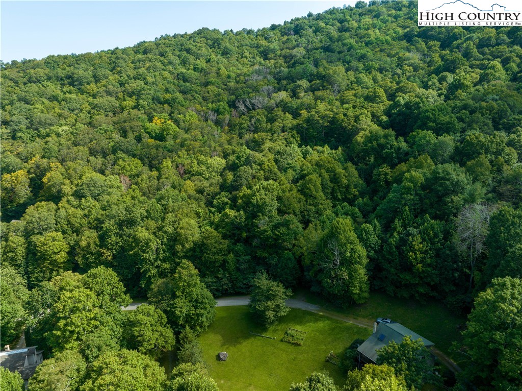 Grande Maple Court Todd, NC 28684 - Photo 9 of 10 a view of a lush green forest