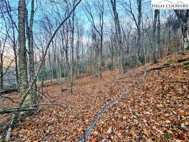 a view of a trees in a field