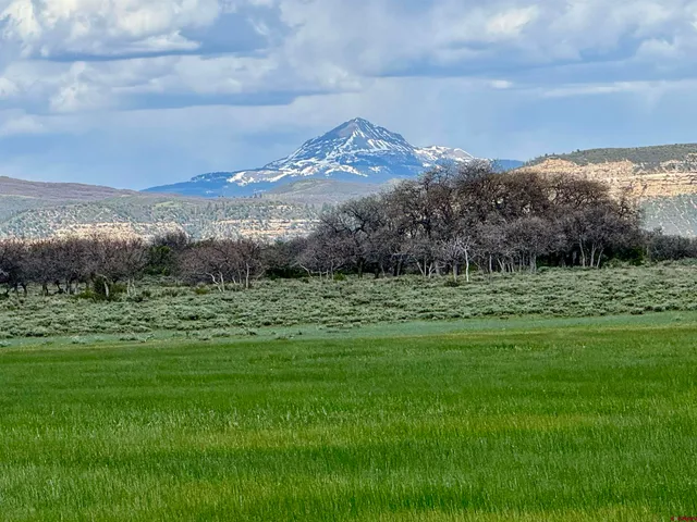 $62,000 | Lot 11 Road 29 Dove Creek, Norwood, CO 81423