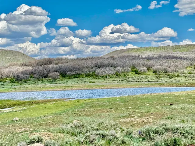 a view of an ocean and a yard