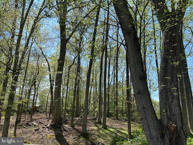 4400 Yates Road Bensalem, PA 19020 - Photo 24 of 28 Included wooded lot
