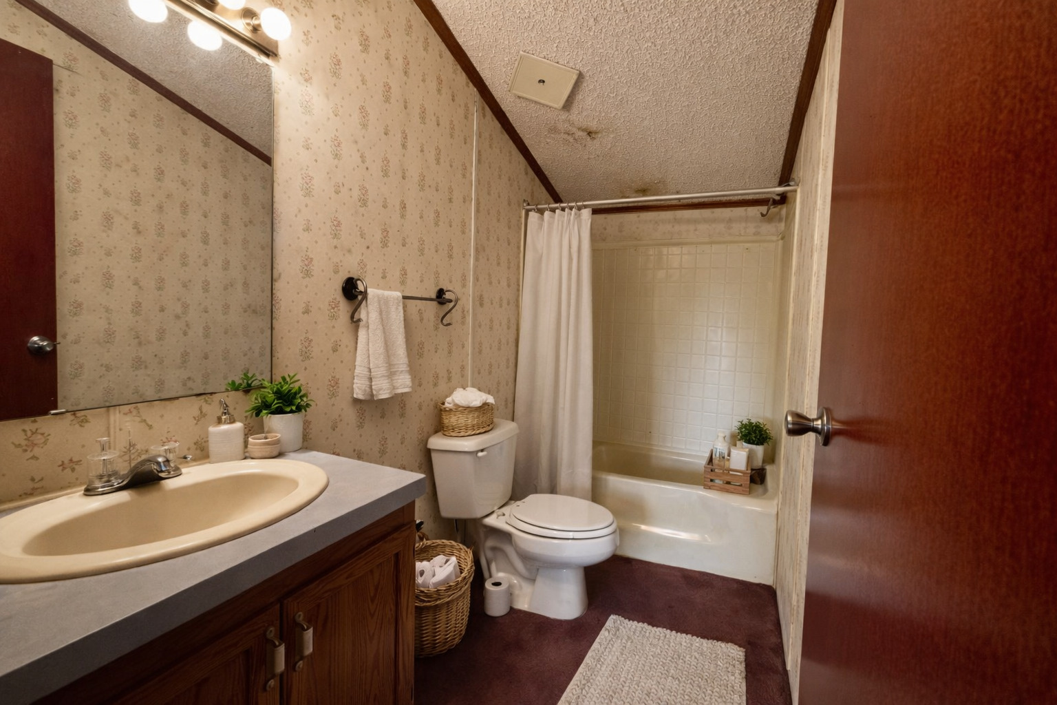 1008 Bloomington Street Dewitt, IL 61735 - Photo 7 of 14