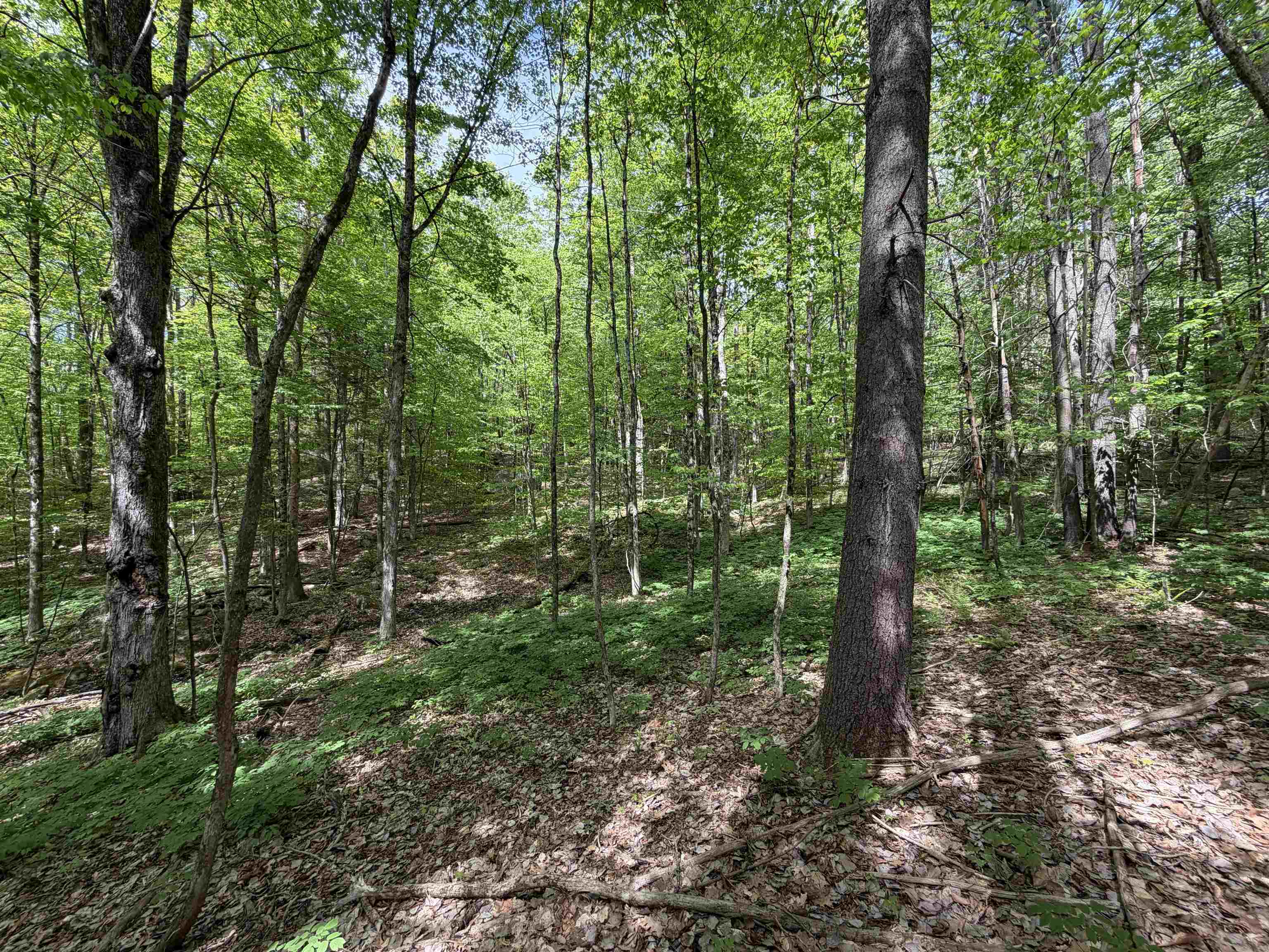 0 Meriden Road Lebanon, NH 03766 - Photo 10 of 10 Gallery Image 10