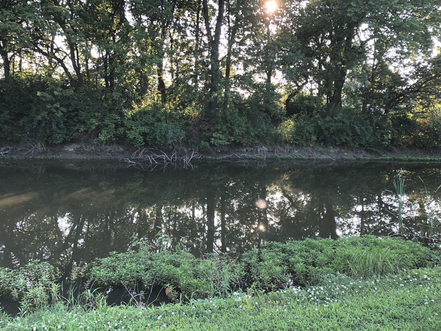 29134 North 3400 E Road Dwight, IL 60420 - Photo 20 of 27 a view of a lake in middle of forest