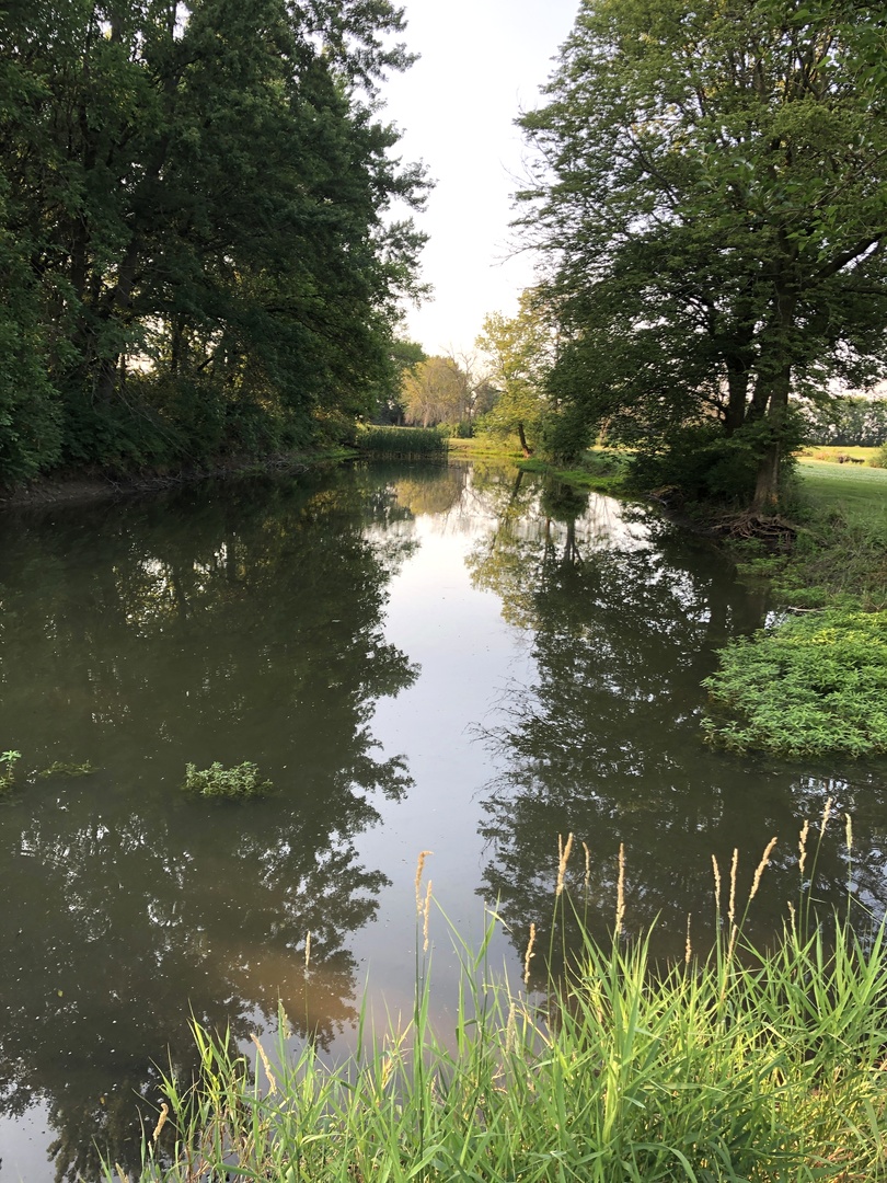 29134 North 3400 E Road Dwight, IL 60420 - Photo 21 of 27 a view of lake from a yard