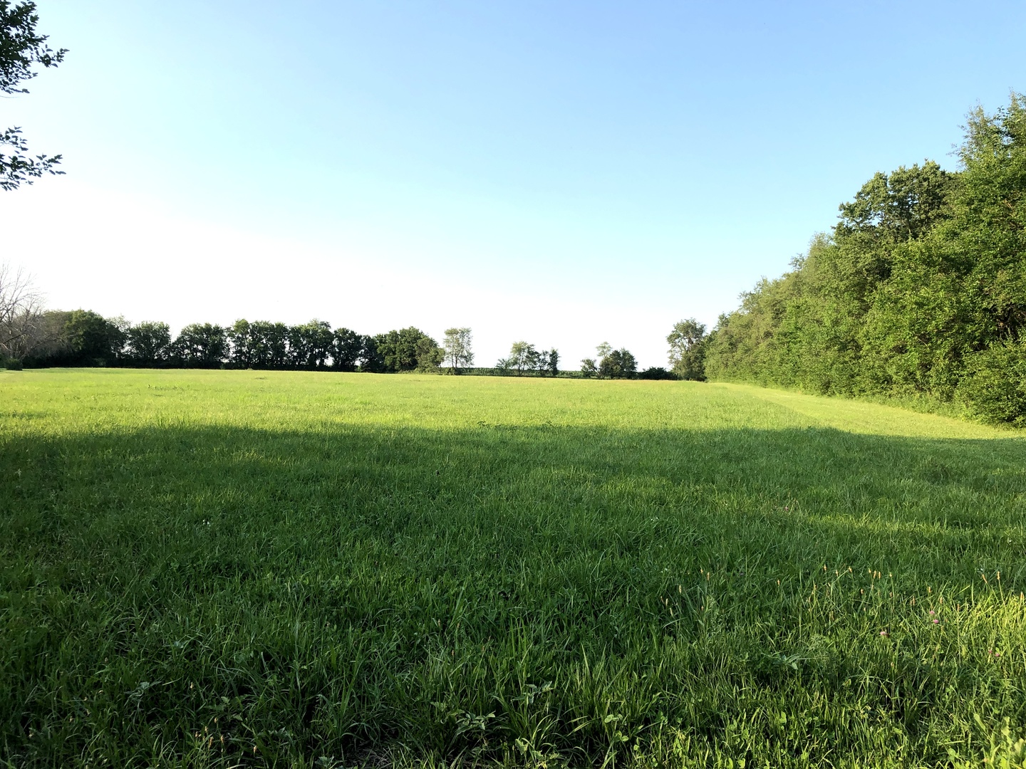 29134 North 3400 E Road Dwight, IL 60420 - Photo 22 of 27 a view of grassy field with grass and trees