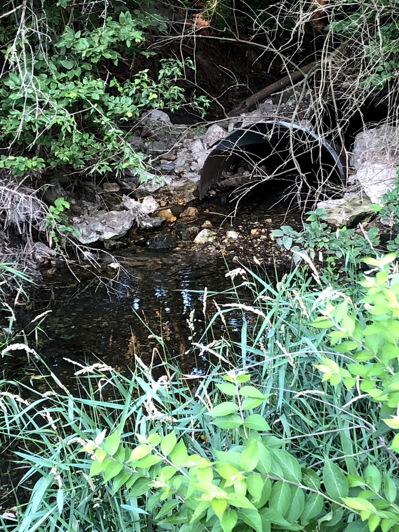 29134 North 3400 E Road Dwight, IL 60420 - Photo 23 of 27 a backyard of a house