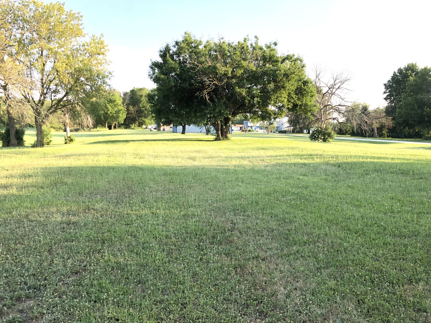 29134 North 3400 E Road Dwight, IL 60420 - Photo 27 of 27 a view of pool and trees