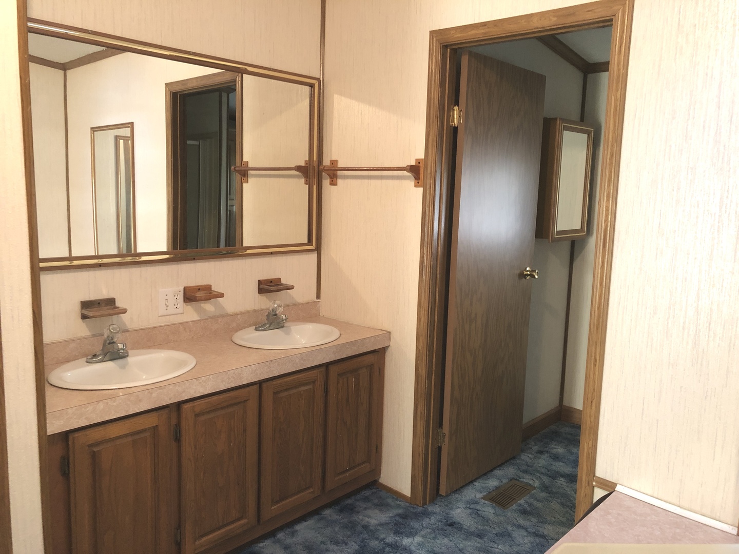 29134 North 3400 E Road Dwight, IL 60420 - Photo 9 of 27 a bathroom with a double vanity sink and a mirror