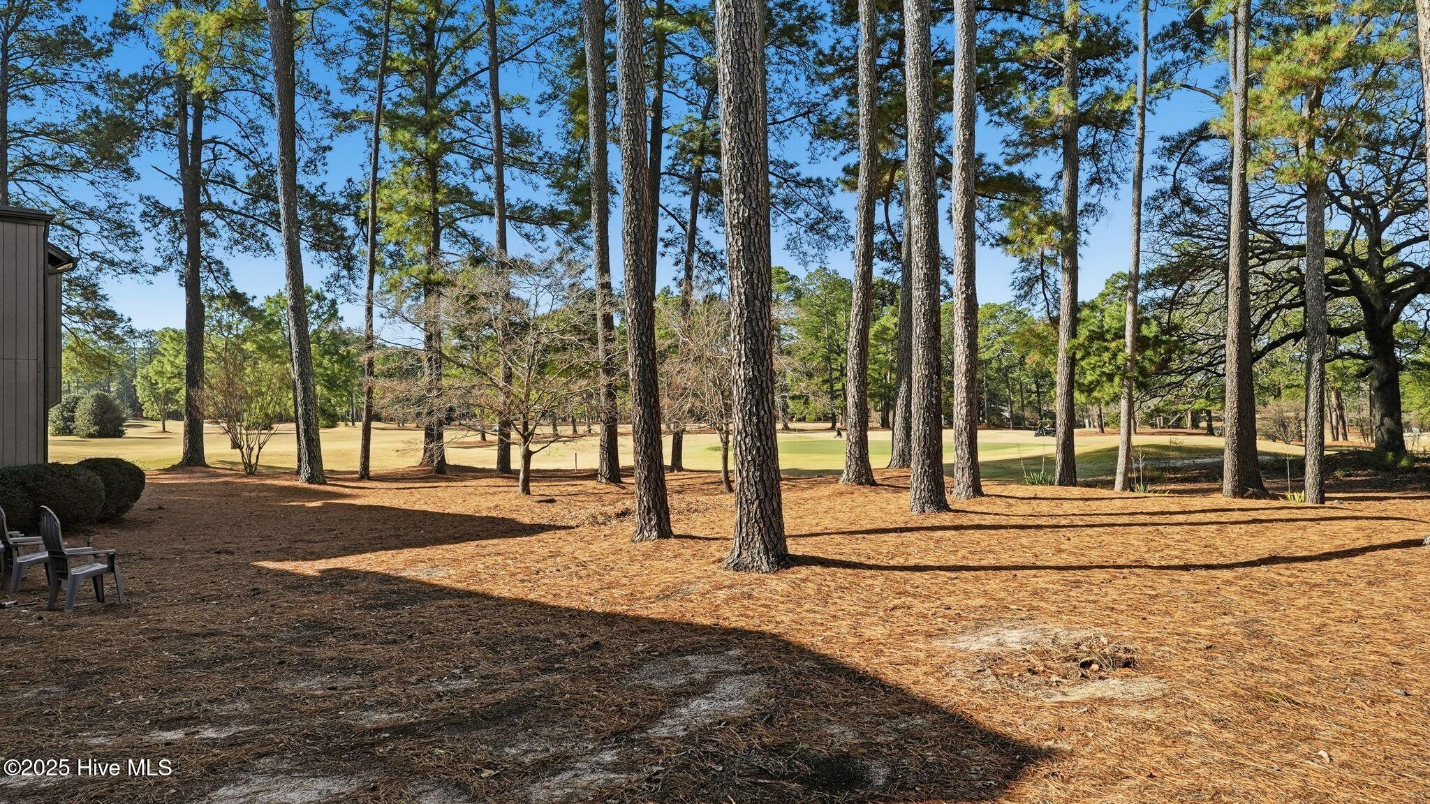 10 Pine Tree Road, Unit 136 Pinehurst, NC 28374 - Photo 21 of 30 24_DSC09328 copy