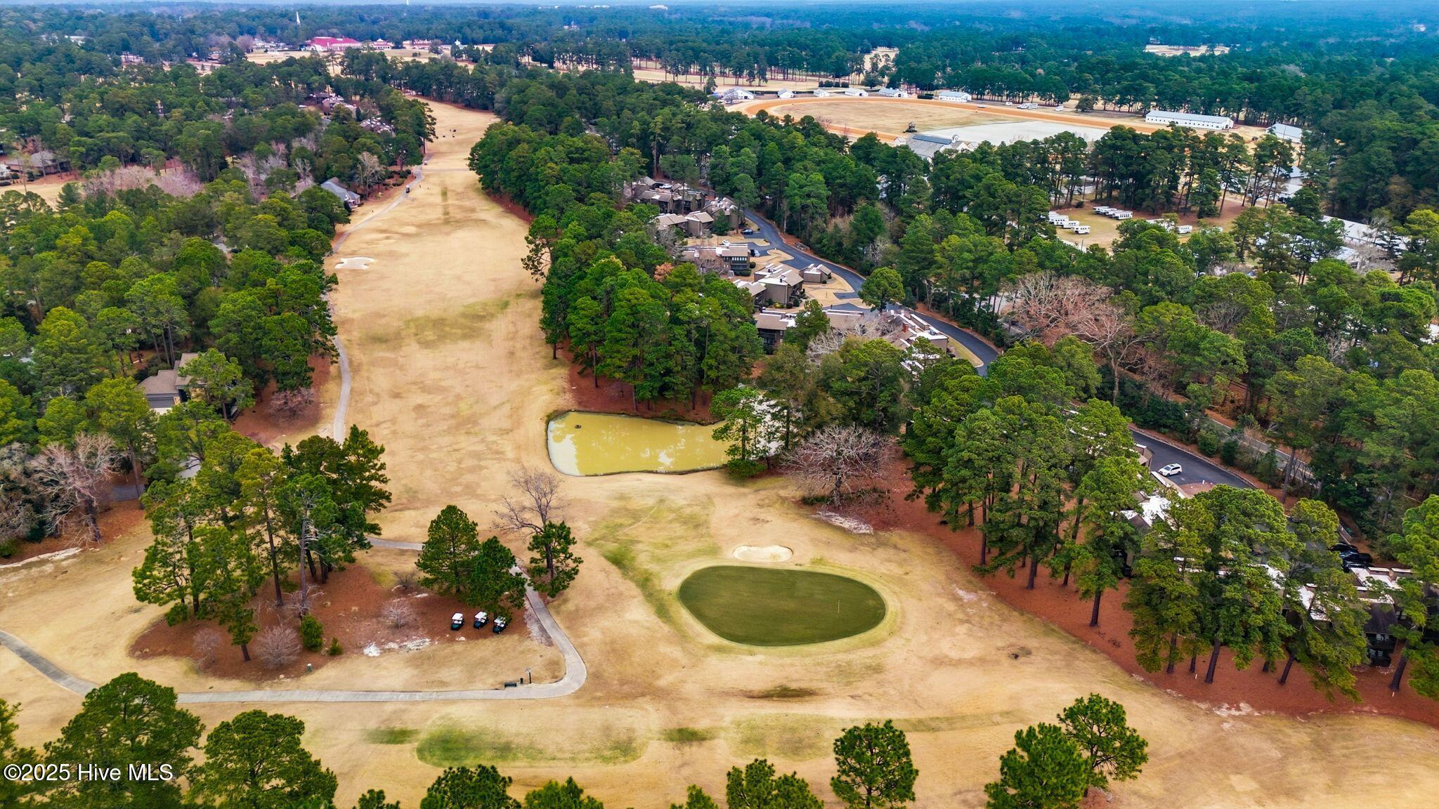 10 Pine Tree Road, Unit 136 Pinehurst, NC 28374 - Photo 27 of 30 27_DJI_20251204131015_0611_D copy