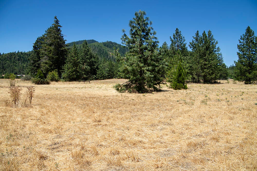 116 Upper Powell Creek Road Williams, OR 97544 - Photo 34 of 48 35