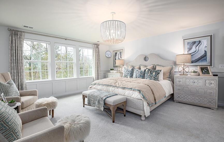 545 Red Monarch Way Moncks Corner, SC 29461 - Photo 7 of 12 master bedrm