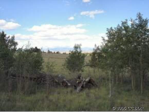 Tbd Kaufman Road Hartsel, CO 80449 - Photo 1 of 1