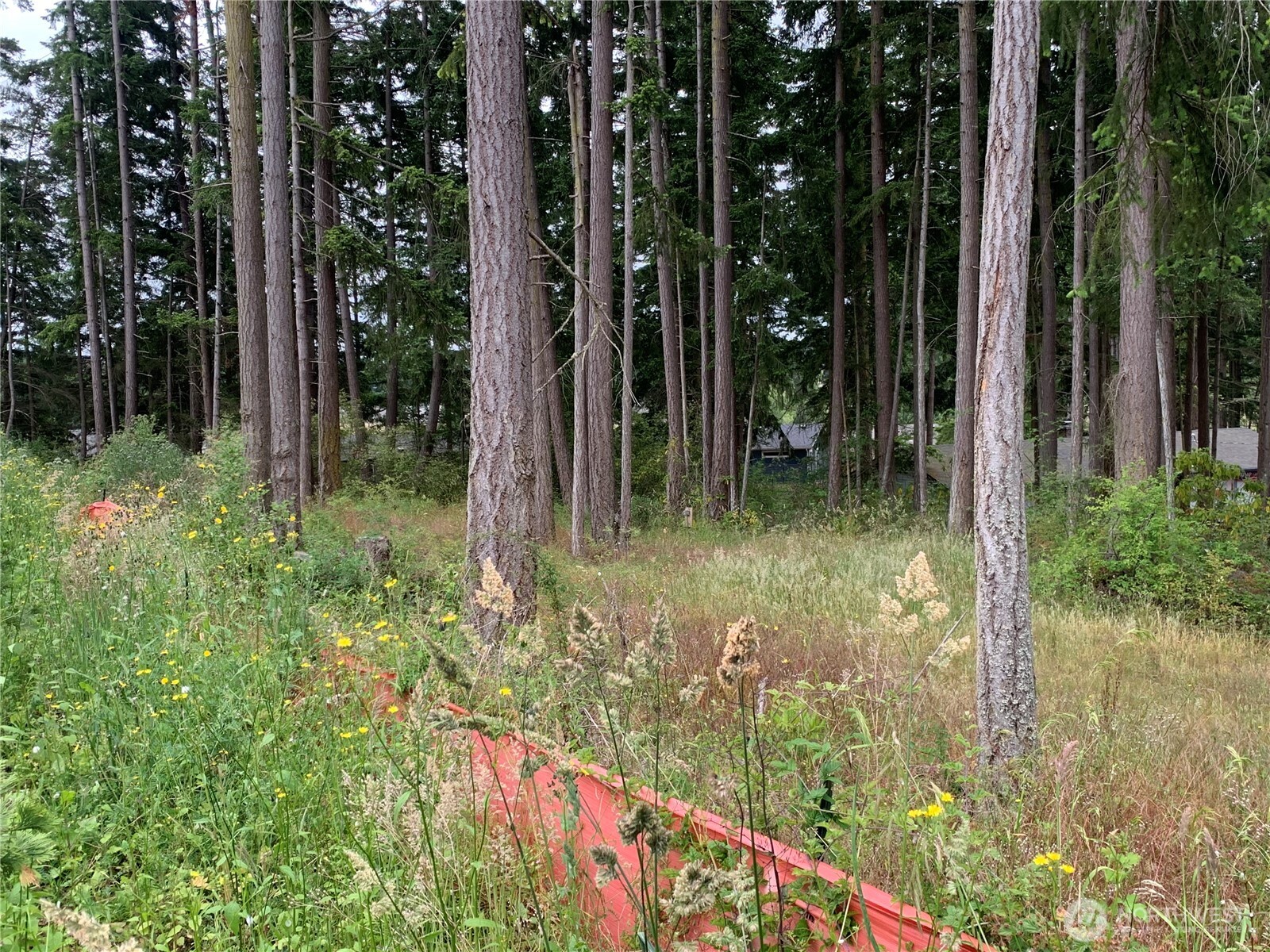 0 901024068th Port Port Hadlock, WA 98339 - Photo 3 of 5