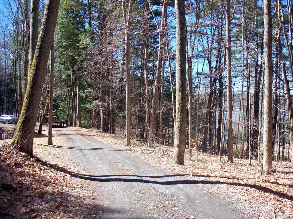 0 Vincent Egan Road Bomoseen, VT 05732 - Photo 3 of 19