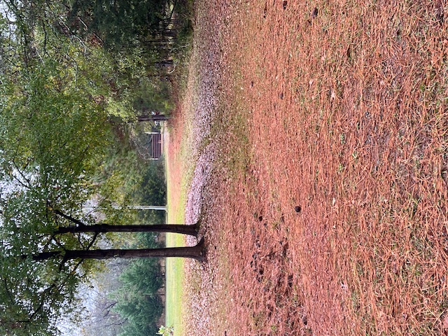 1416 Mountain View Road Anderson, SC 29626 - Photo 23 of 23