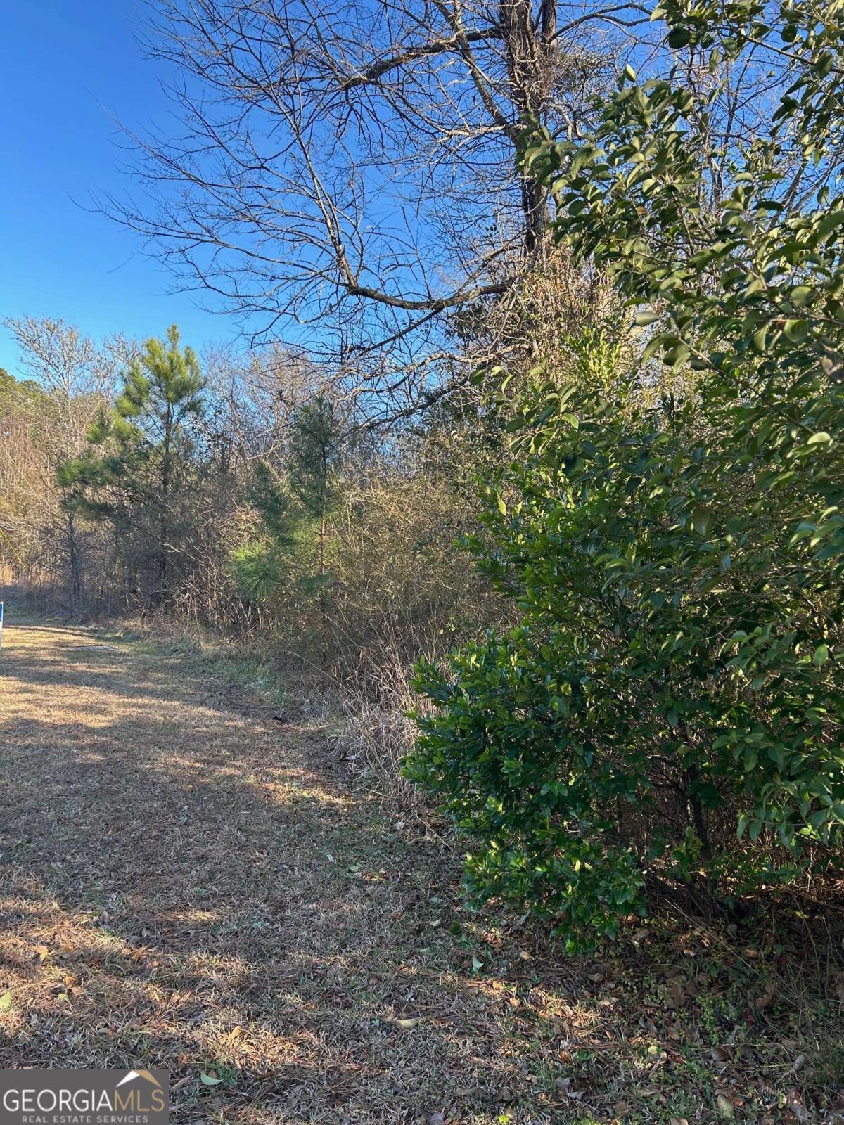 678 Dunlap Road Northeast, Unit A14 Milledgeville, GA 31061 - Photo 3 of 4 a view of a backyard of a house