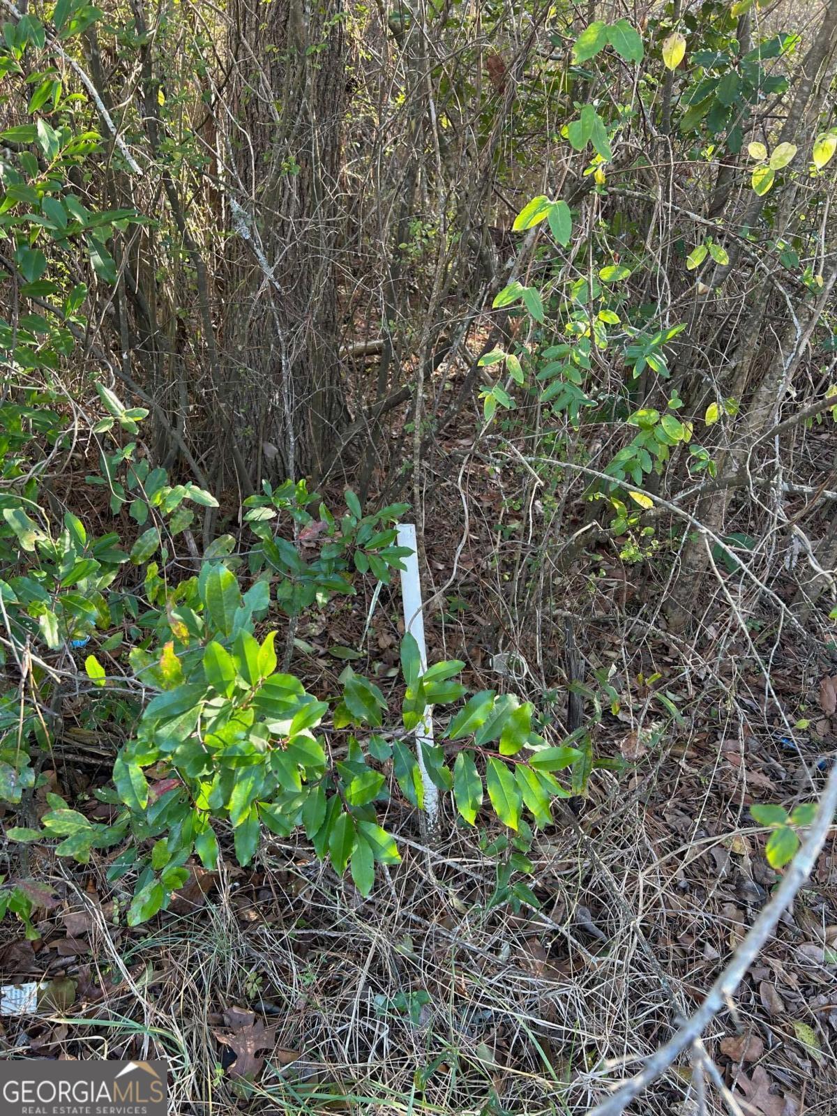 678 Dunlap Road Northeast, Unit A14 Milledgeville, GA 31061 - Photo 4 of 4 a backyard of a house