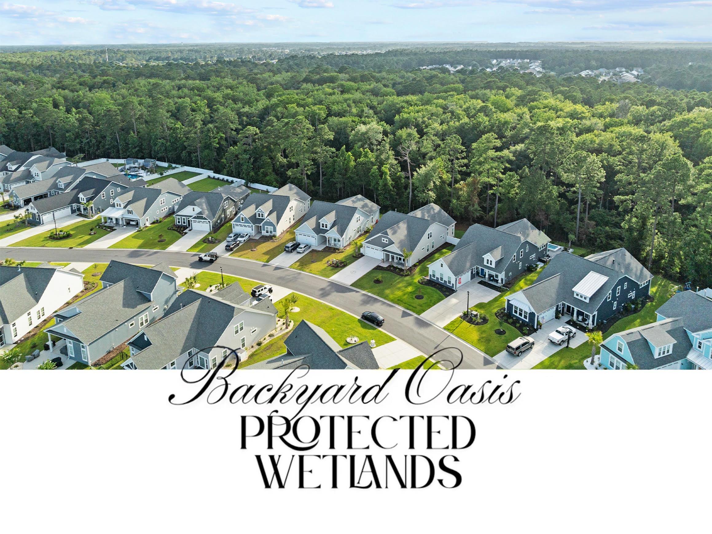 212 Starlit Way Myrtle Beach, SC 29579 - Photo 3 of 40