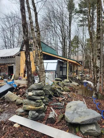 a picture of outdoor space with lots of plants and trees