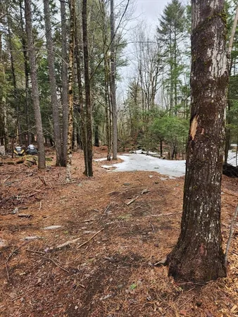 a view of outdoor space with trees